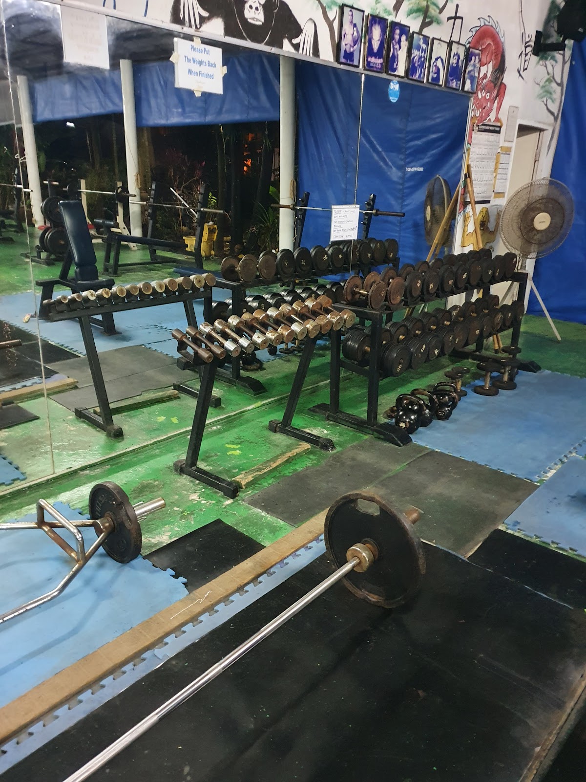 Hippo's Gym - Gallery image 5