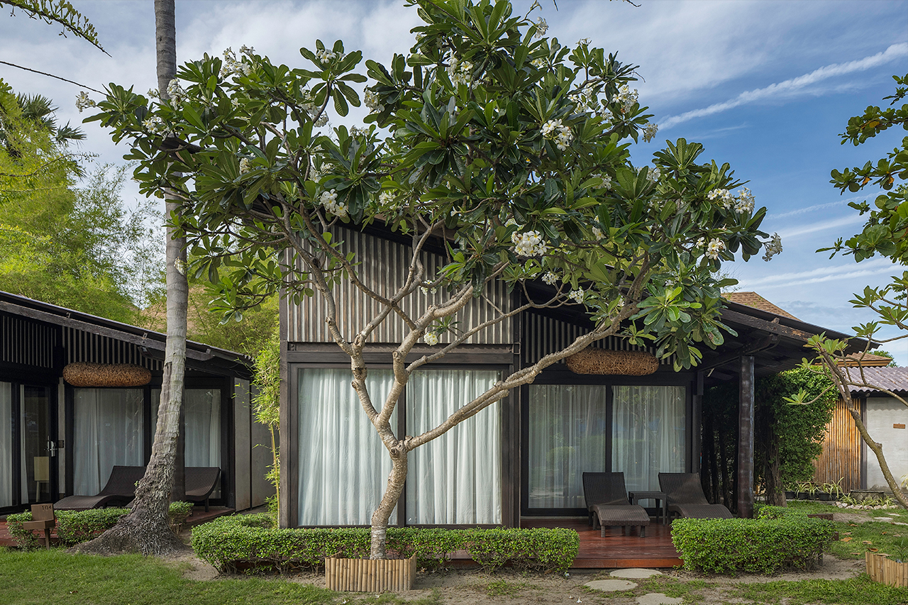 Homm Chura - Gallery image 6