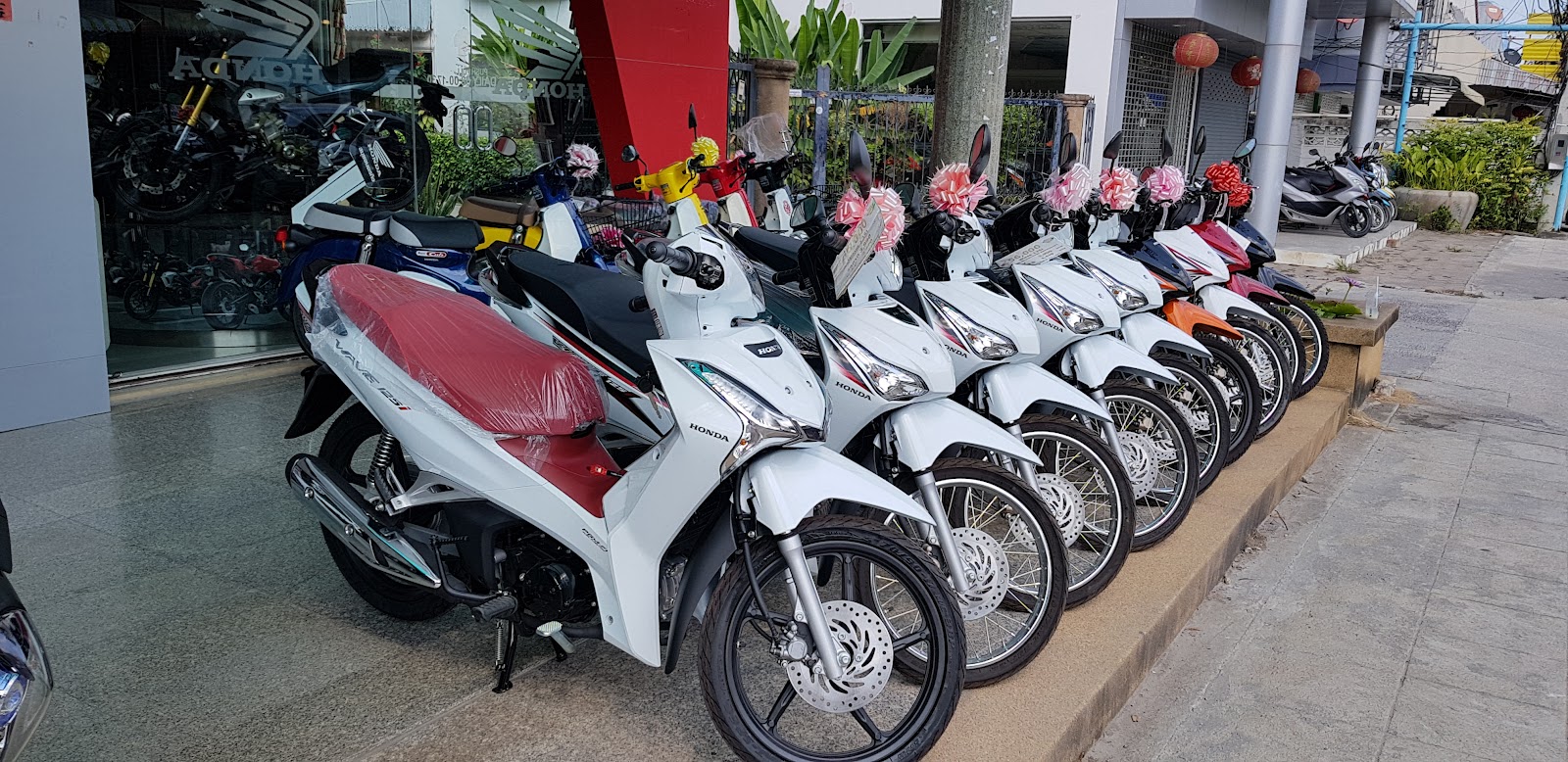 Honda Motorcycle Dealer