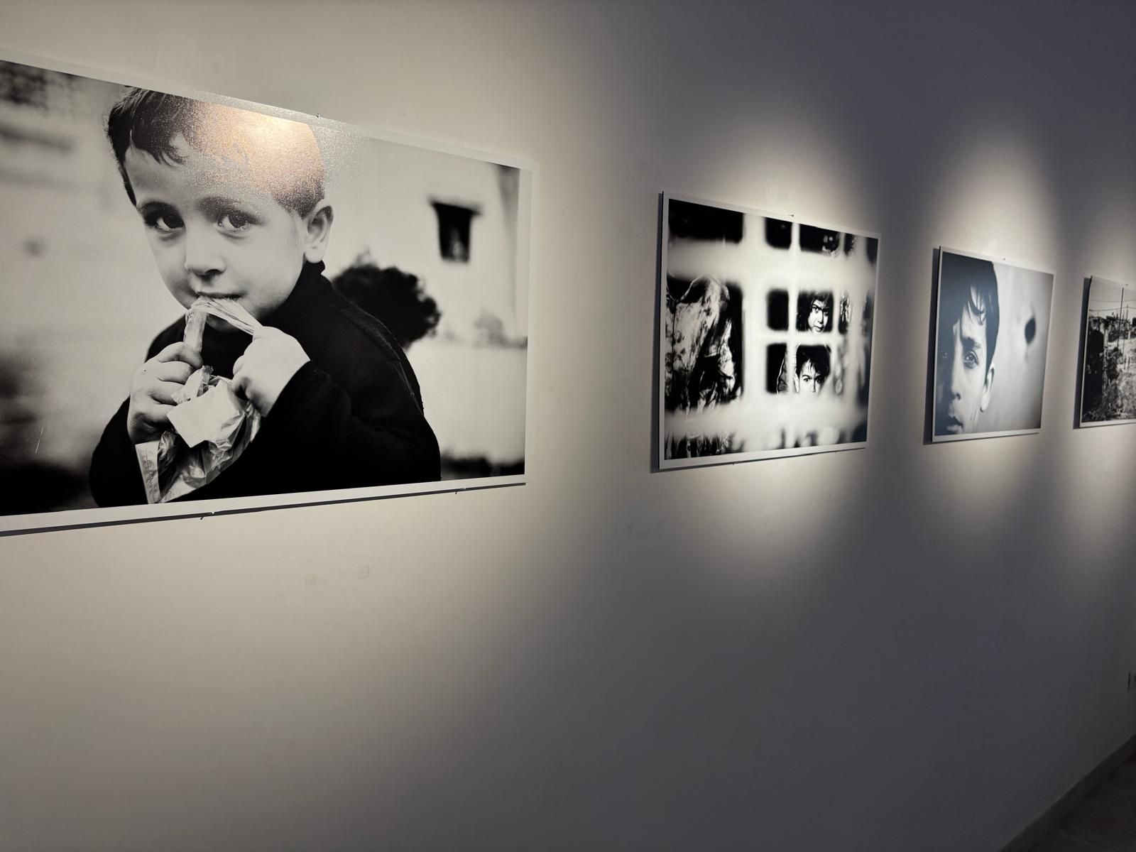 House Of Lucie - Gallery image 8
