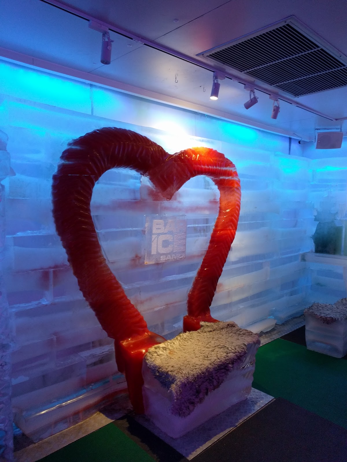 Ice Bar - Gallery image 4