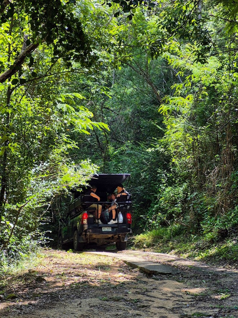 Jungle Safari Tours - Gallery image 2