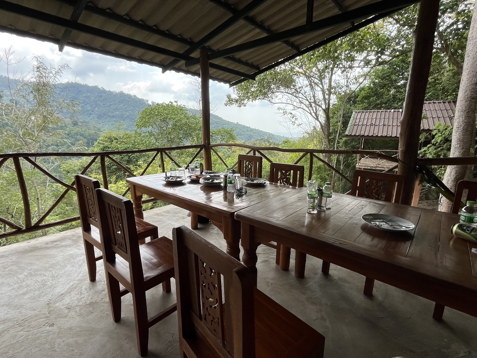 Jungle Safari Tours - Gallery image 5