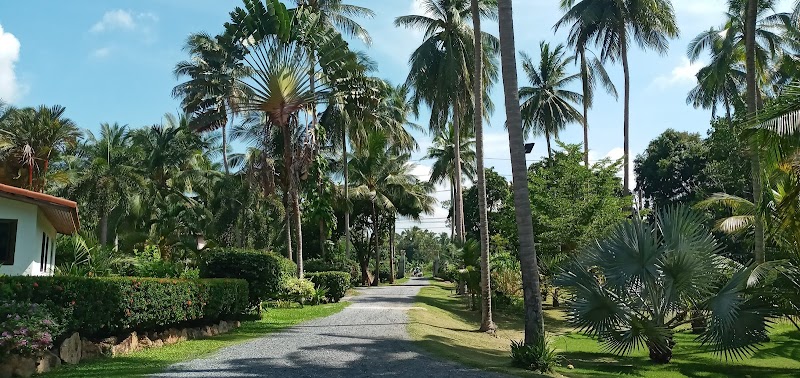 La Rhumerie De Koh Samui