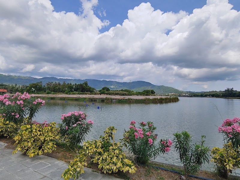 Lago - Gallery image 2