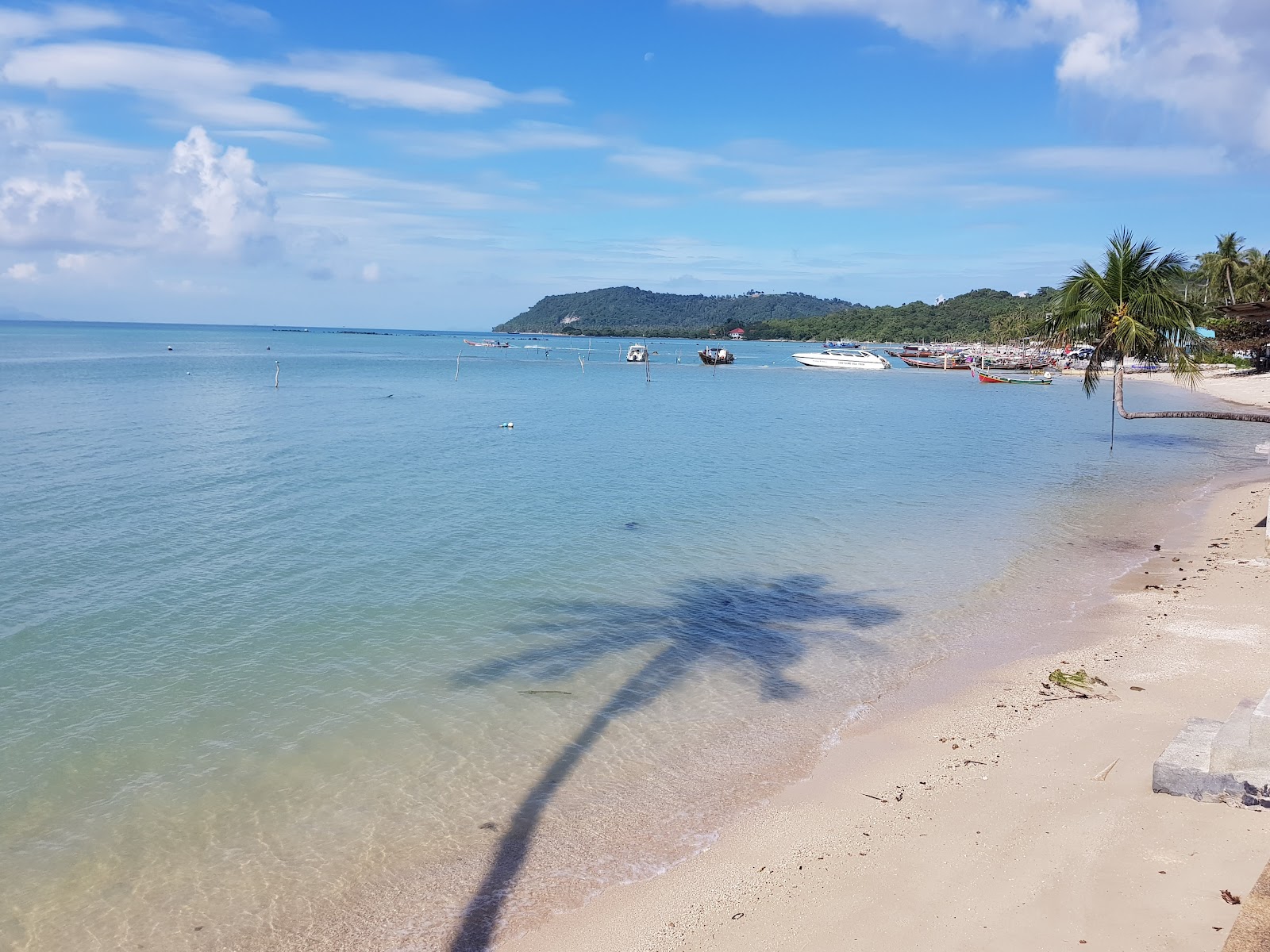 Lai Thai
