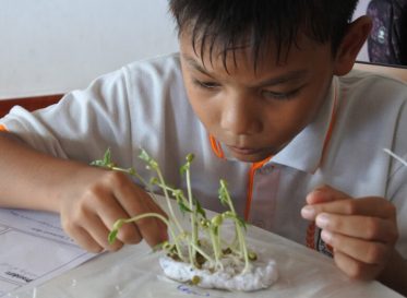 Lamai International School (LIS) - Gallery image 8