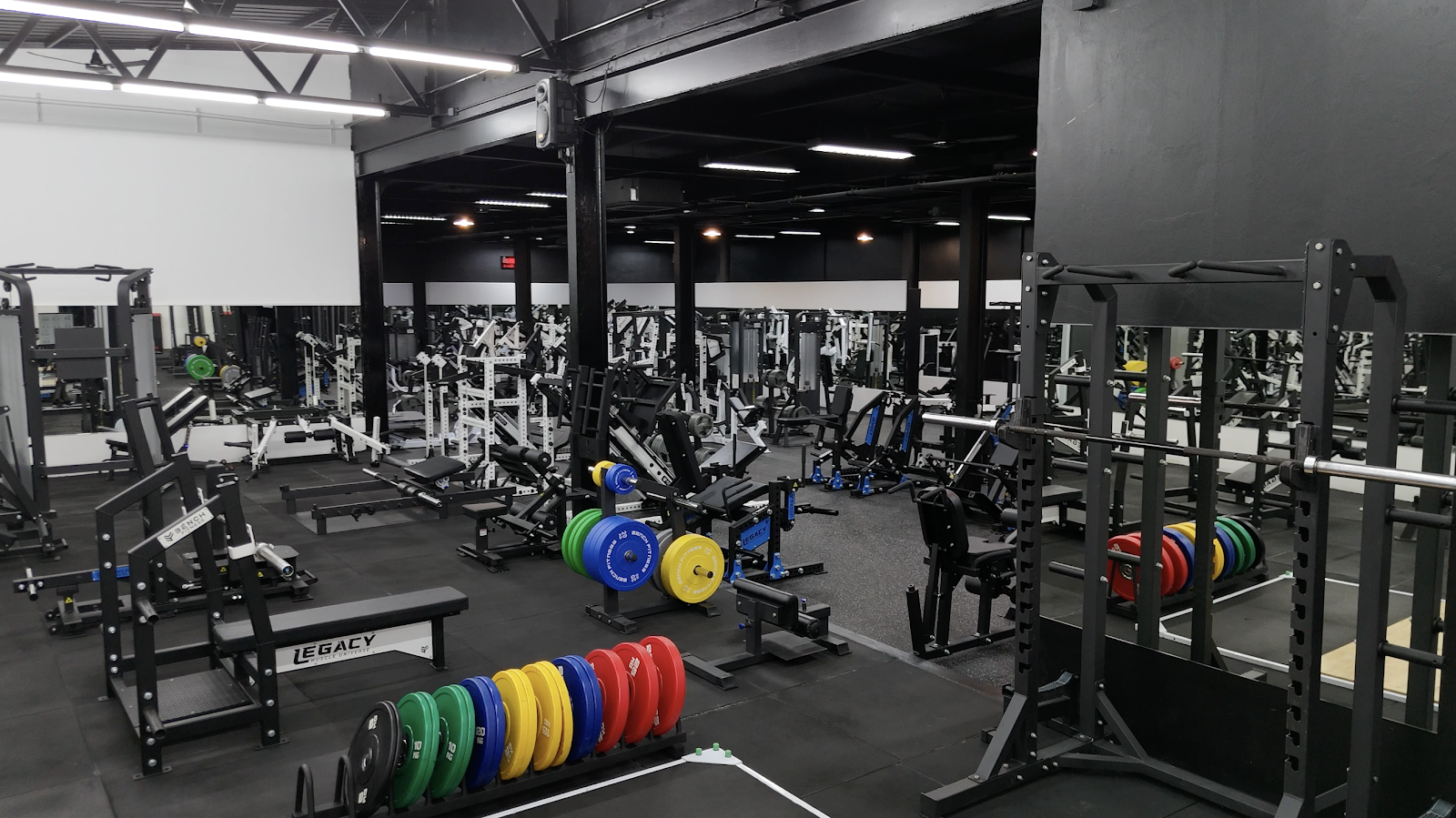 Legacy Muscle Universe