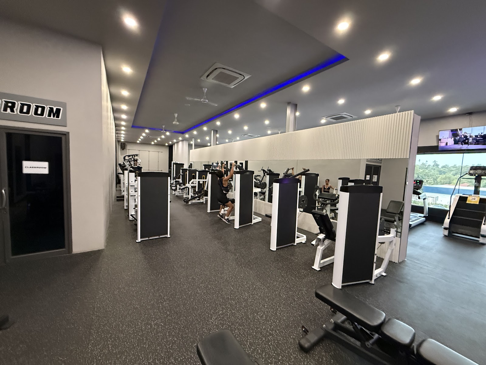 Legacy Muscle Universe - Gallery image 5