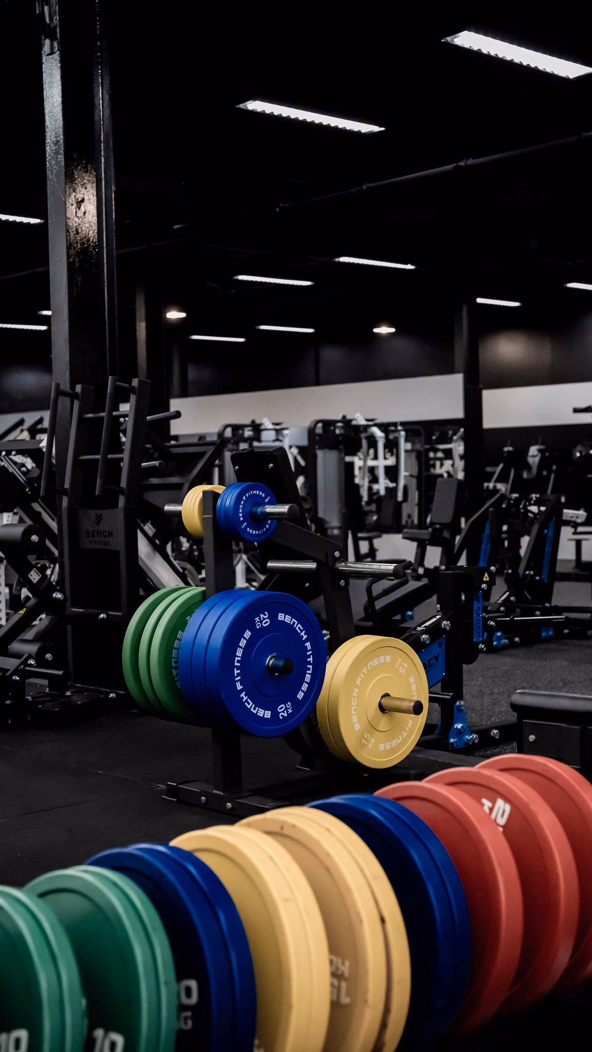 Legacy Muscle Universe - Gallery image 6
