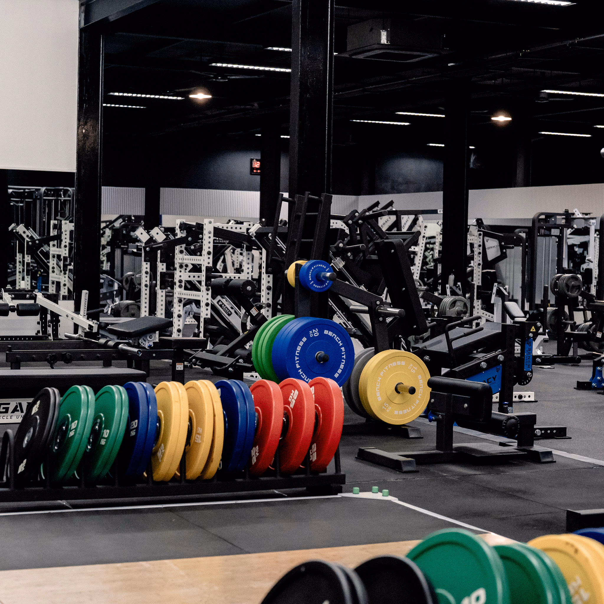 Legacy Muscle Universe - Gallery image 7