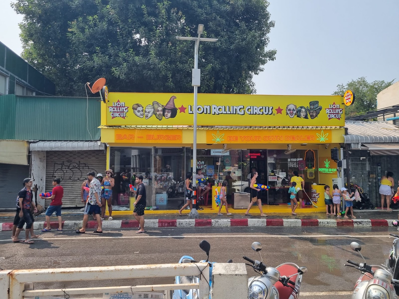 Lion Rolling Circus