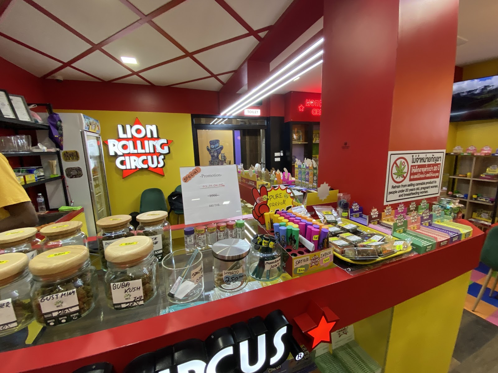 Lion Rolling Circus - Gallery image 4