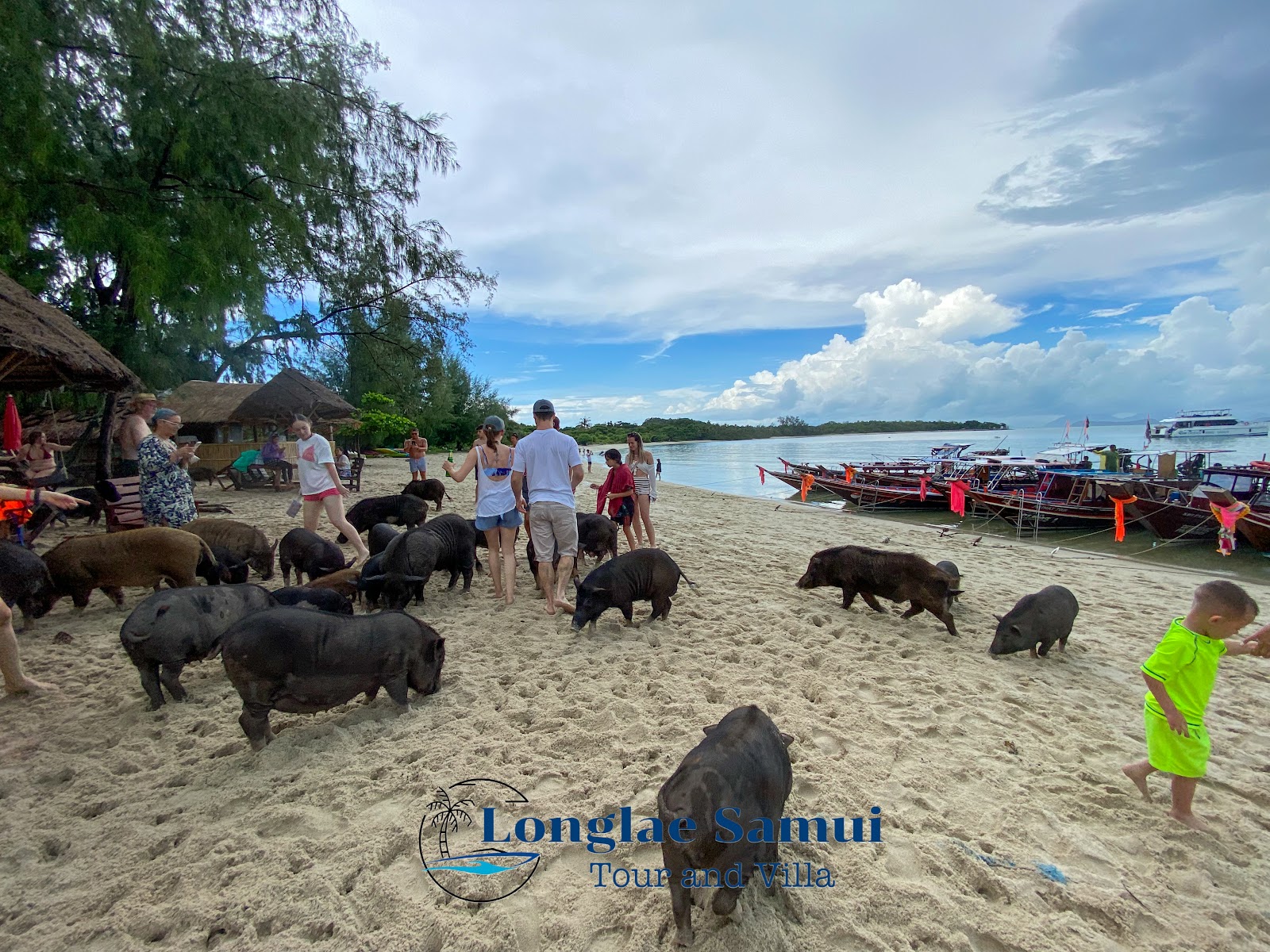 Longlae Samui Tour & Travel - Gallery image 5