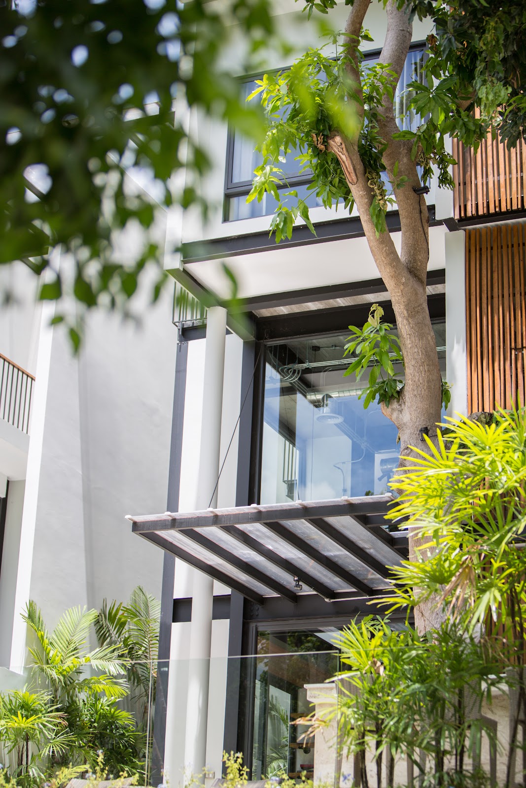 Mango Tree House Rent - Gallery image 4