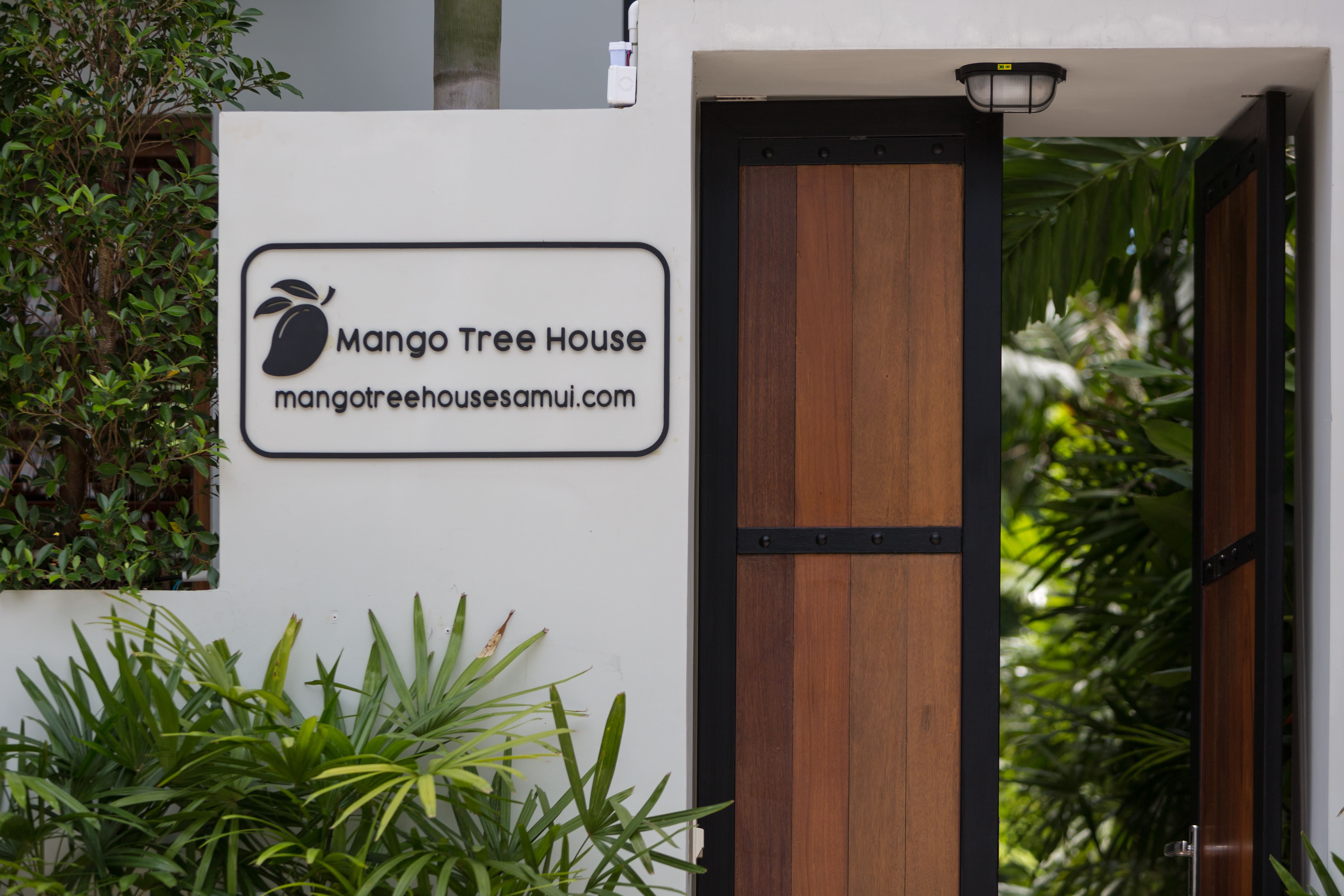 Mango Tree House Rent - Gallery image 6
