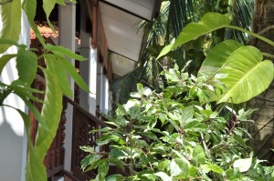 Mira Mare Resort - Gallery image 5