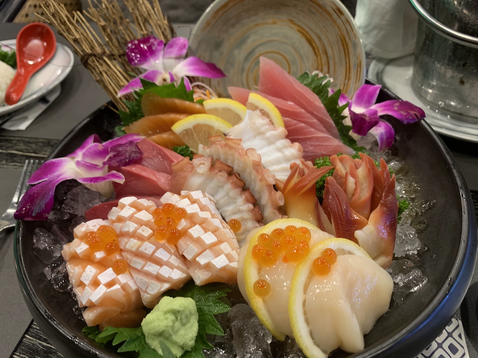 Mollusca Japanese &Oyster