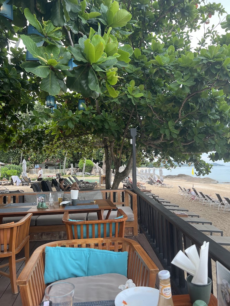 Monkey Bar - Gallery image 2