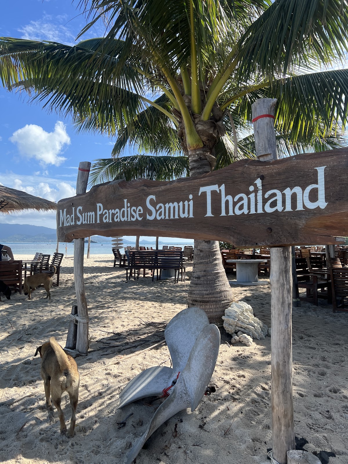 Mr. Ocean Samui - Gallery image 4