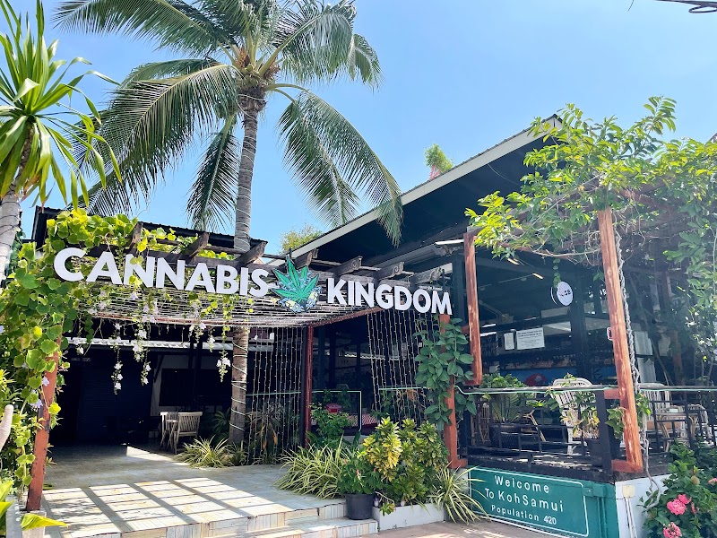 My Cannabis Kingdom