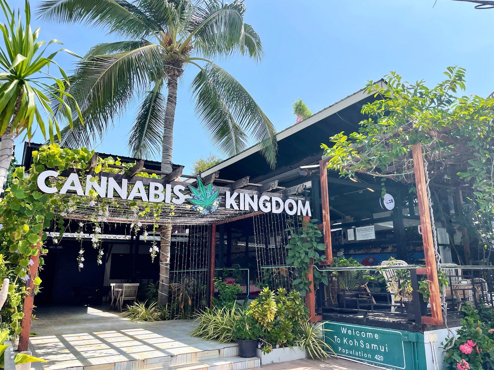 My Cannabis Kingdom