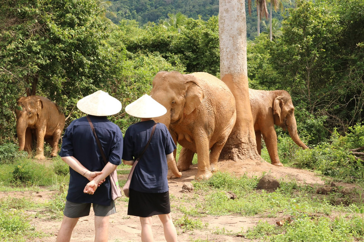 Net Tours Asia
