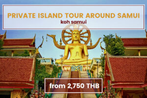 Net Tours Asia - Gallery image 9