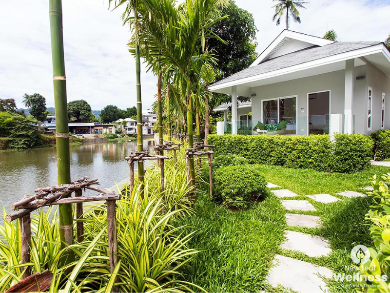 New Leaf Detox Resort