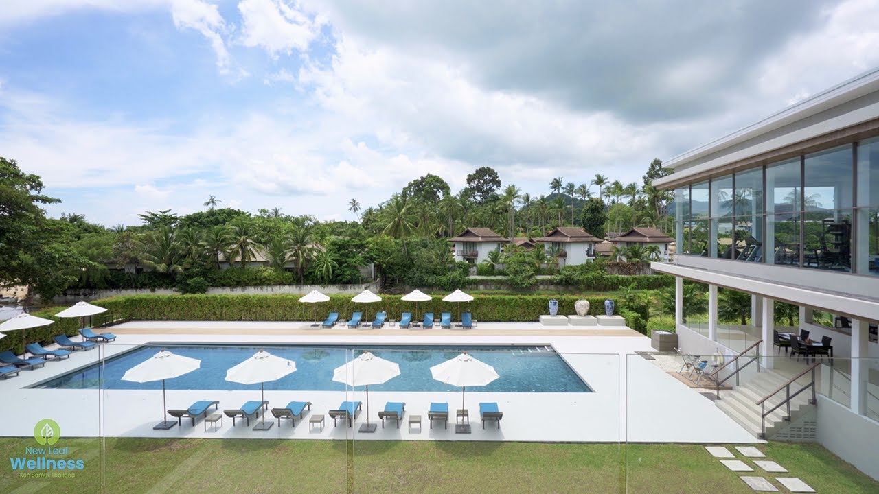New Leaf Detox Resort - Gallery image 8
