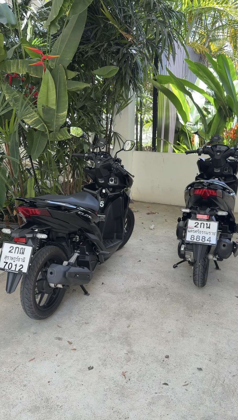 N&M Samui Motorbike Rental - Gallery image 4
