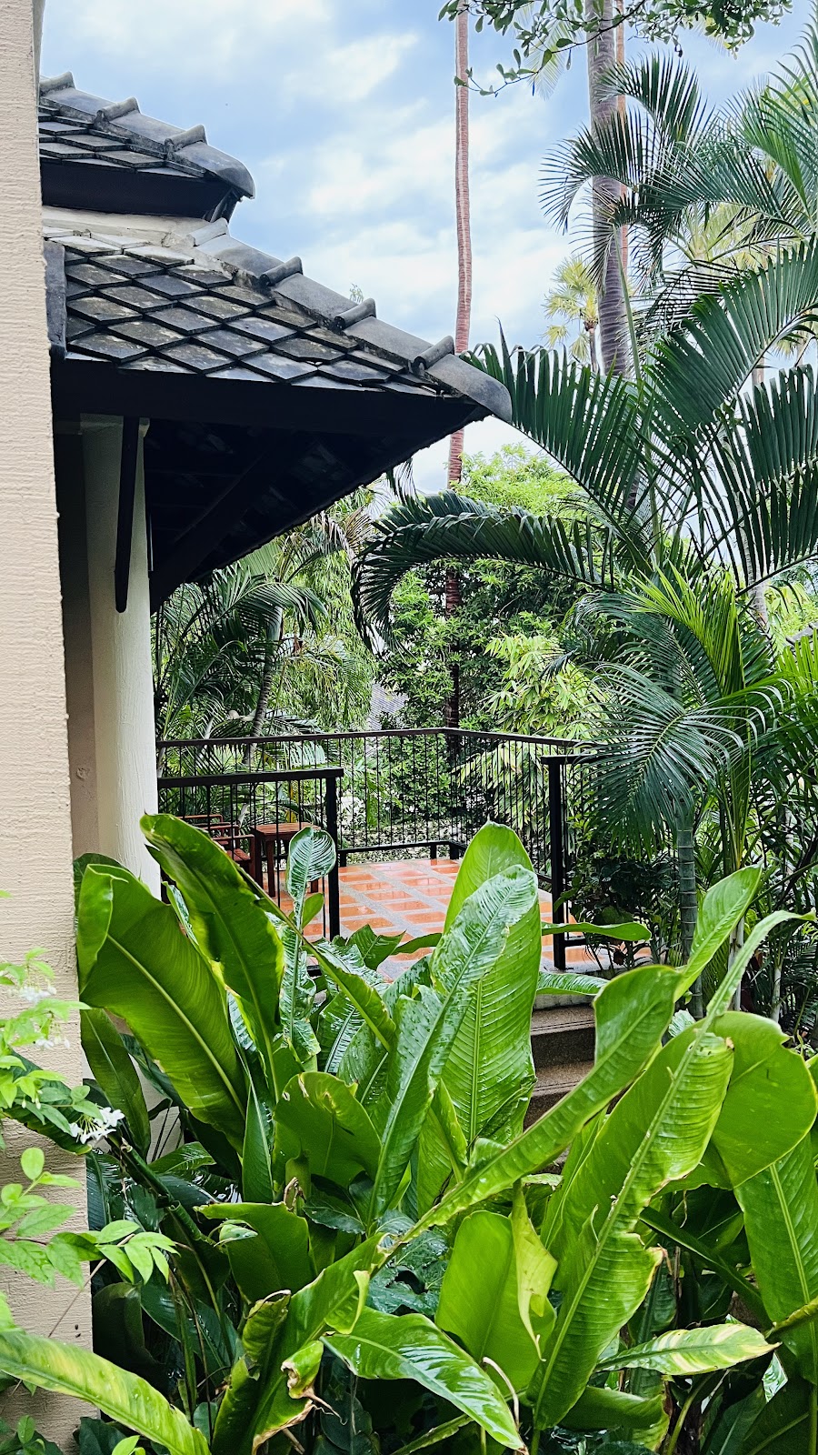 Pandanus Spa - Gallery image 5