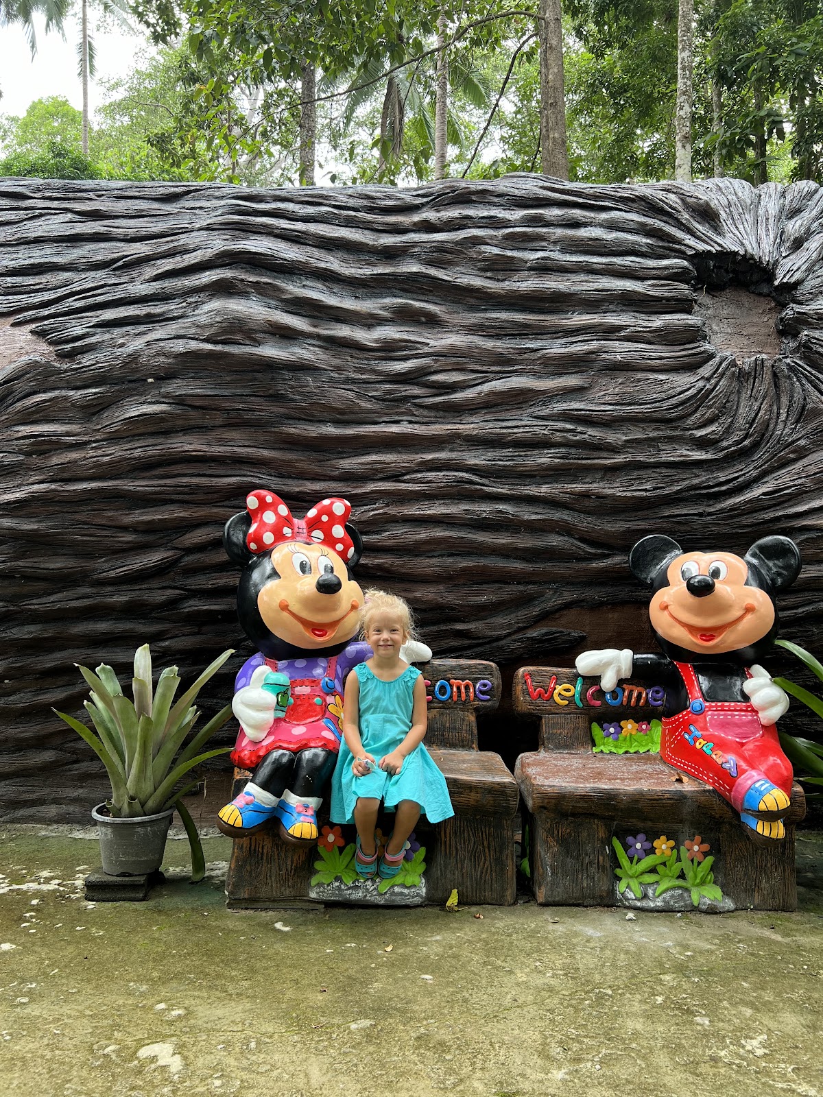 Saiyor Garden - Gallery image 5