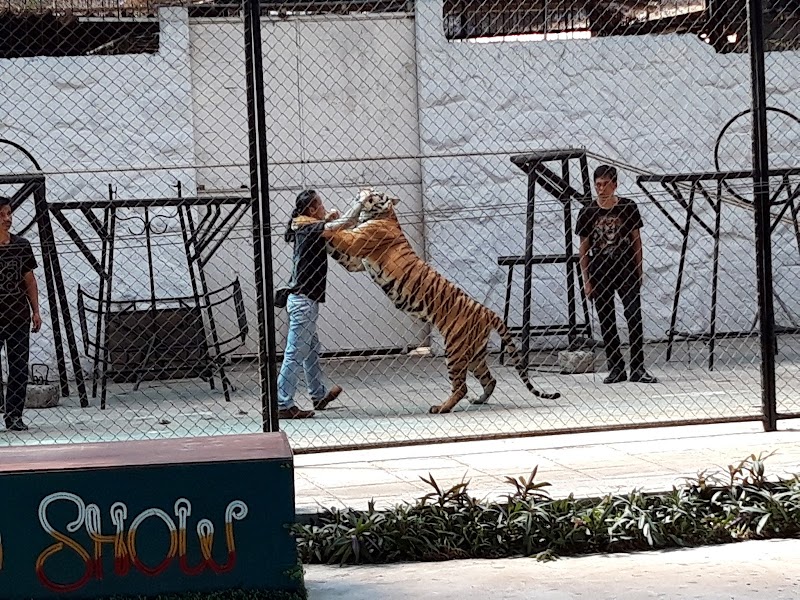 Samui Aquarium & Tiger Zoo - Gallery image 2