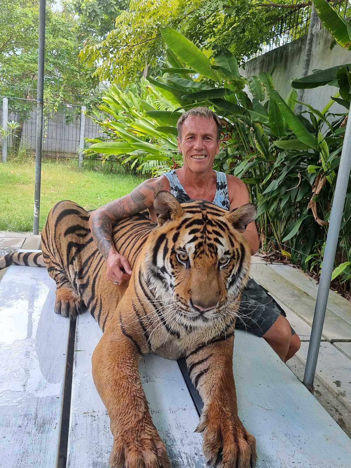 Samui Aquarium & Tiger Zoo