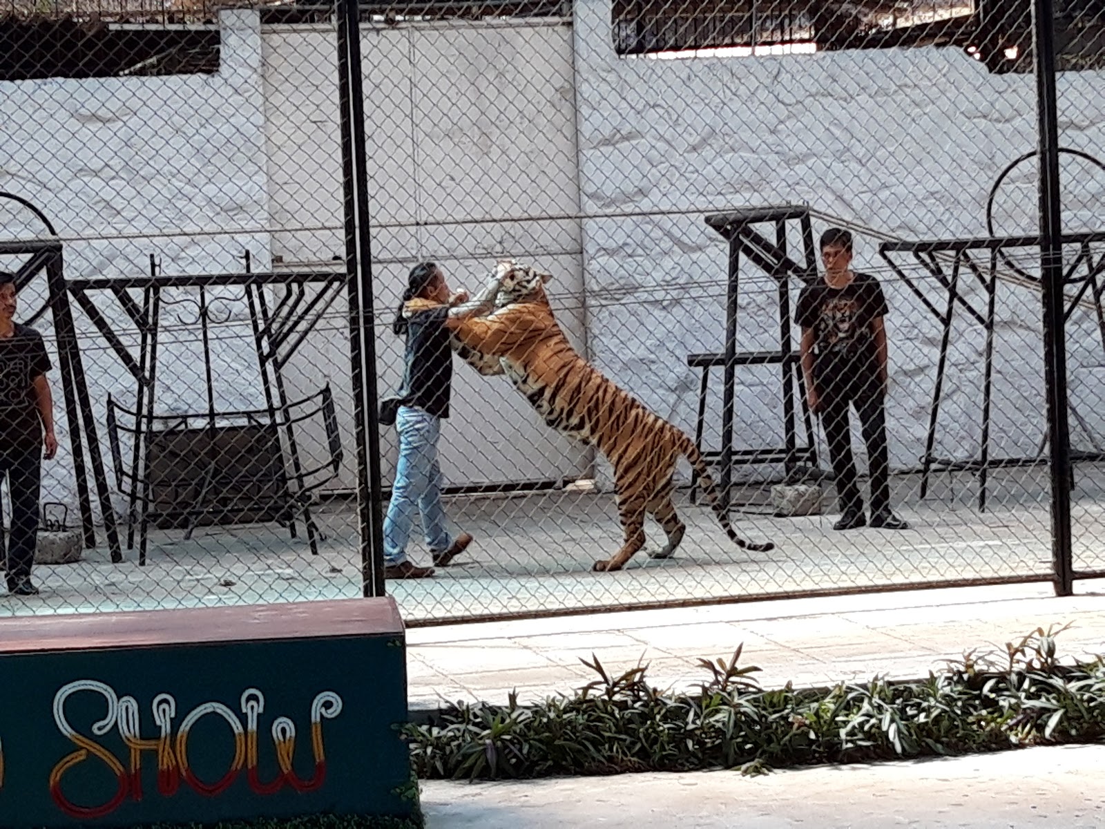 Samui Aquarium & Tiger Zoo