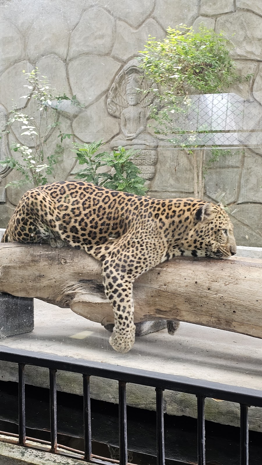 Samui Aquarium & Tiger Zoo - Gallery image 4