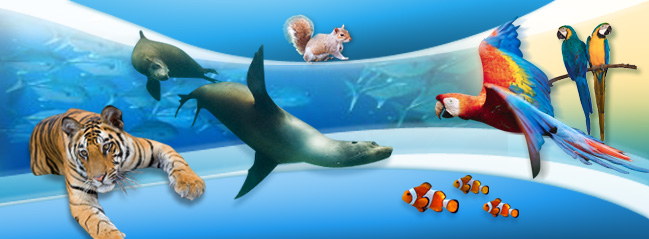 Samui Aquarium & Tiger Zoo - Gallery image 6