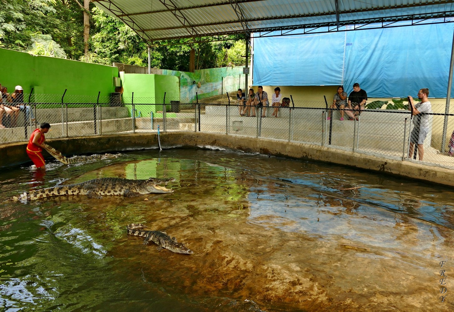 Samui Crocodile Farm