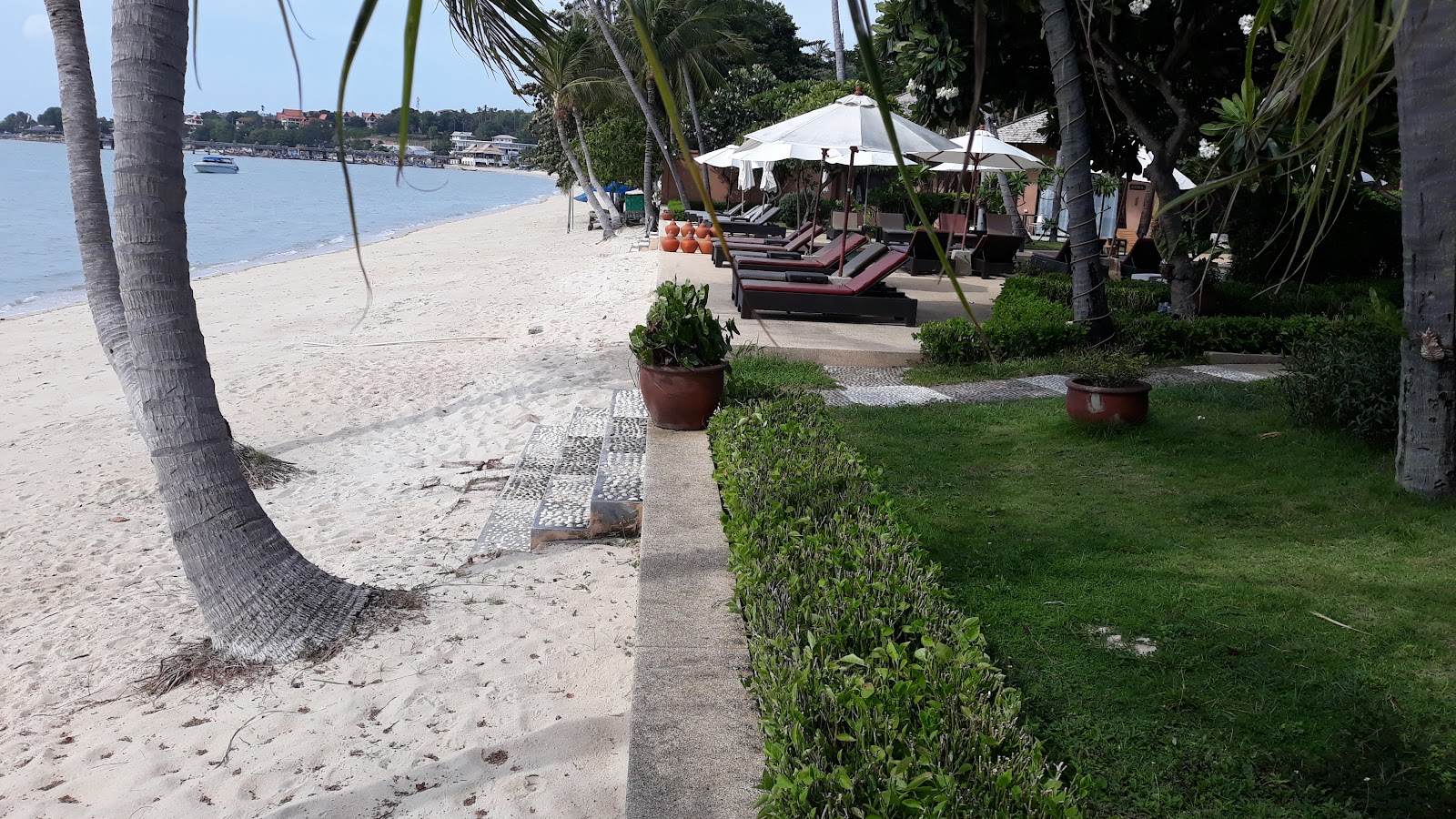 Samui Deep Well - Gallery image 4