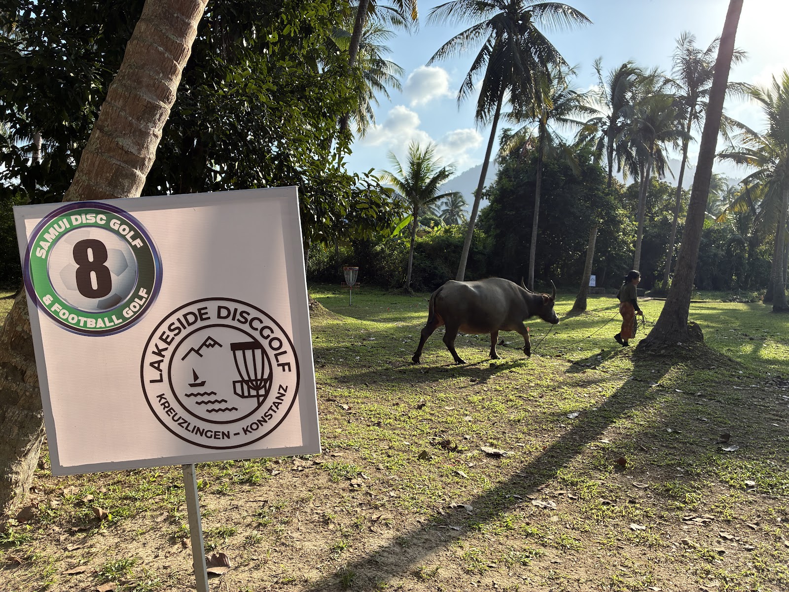 Samui Disc Golf & Football Golf