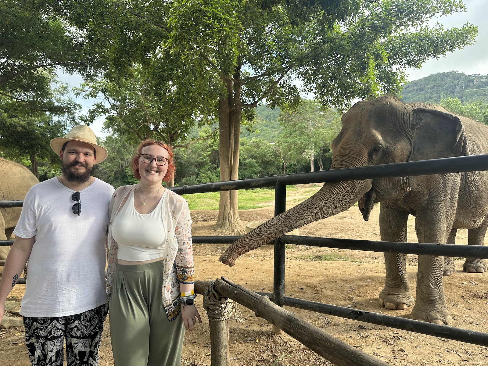 Samui Elephant Haven