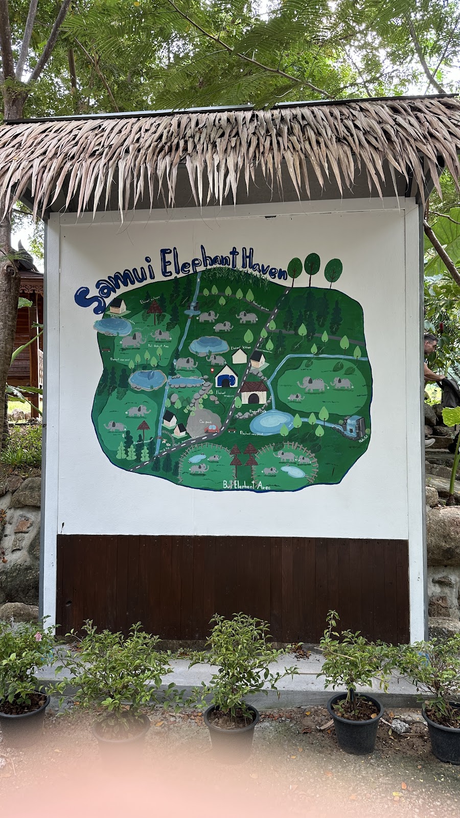 Samui Elephant Haven - Gallery image 4