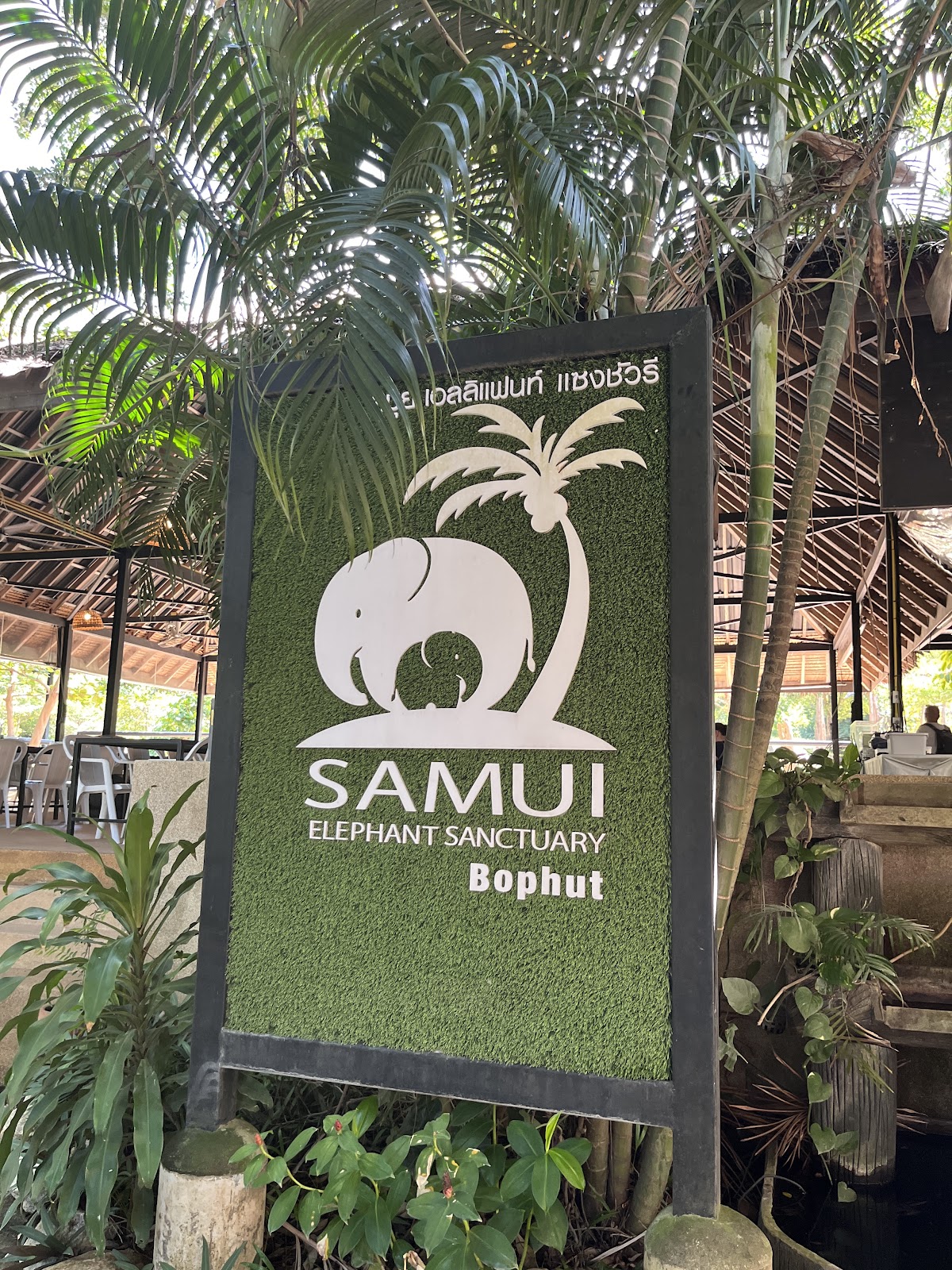 Samui Elephant Sanctuary