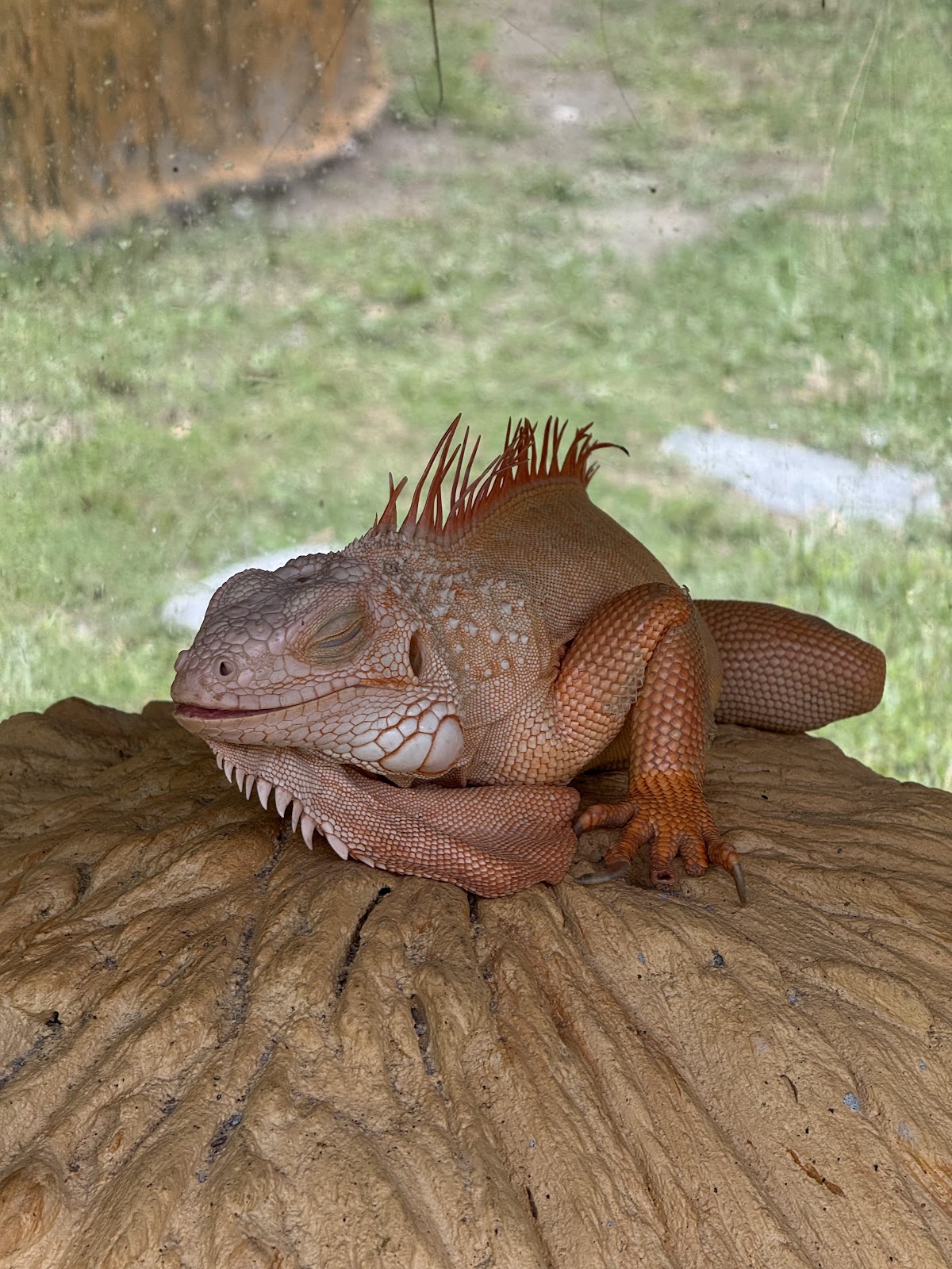 Samui Exotic Park