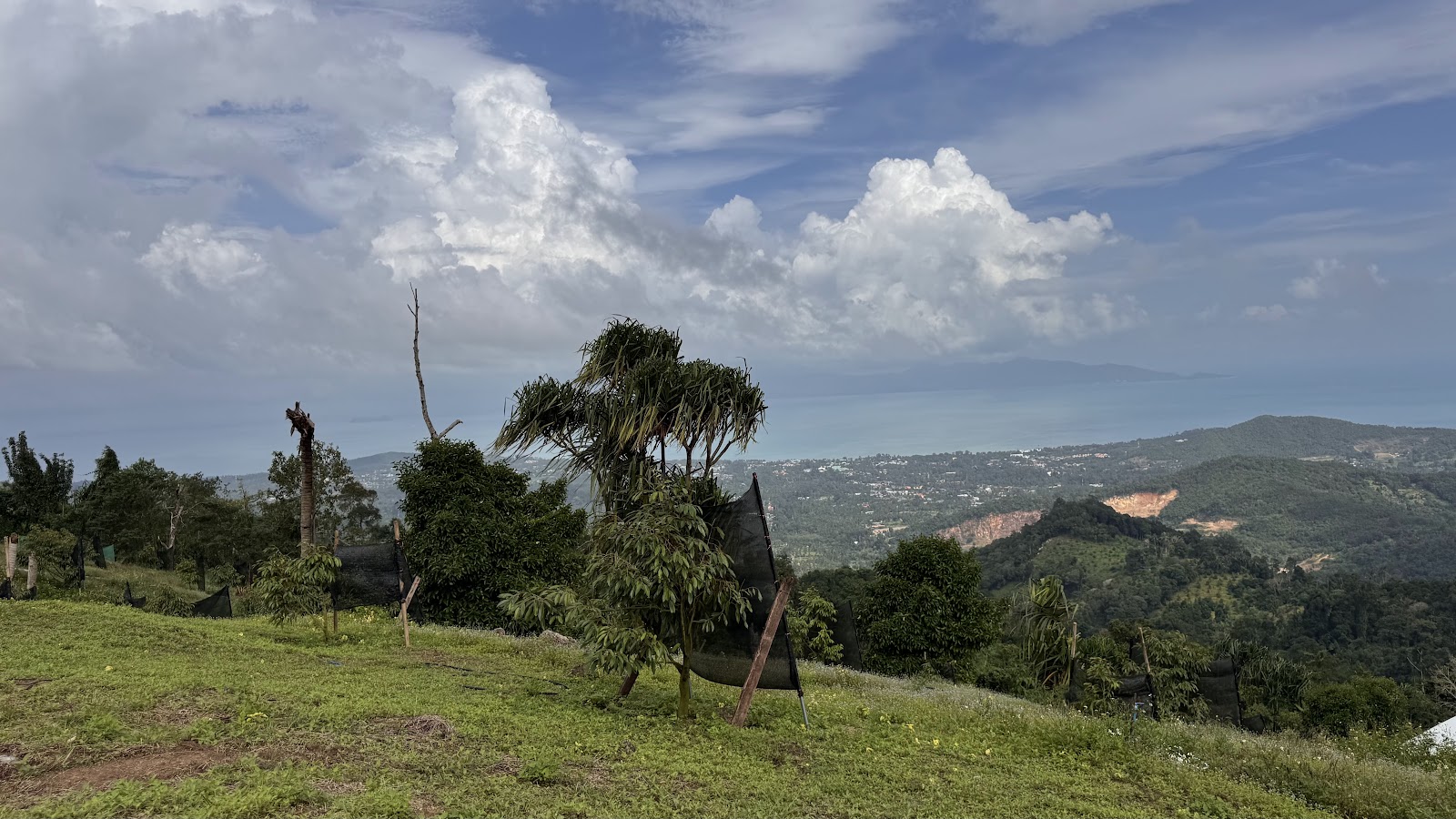 Samui Grand Safari Tour - Gallery image 4