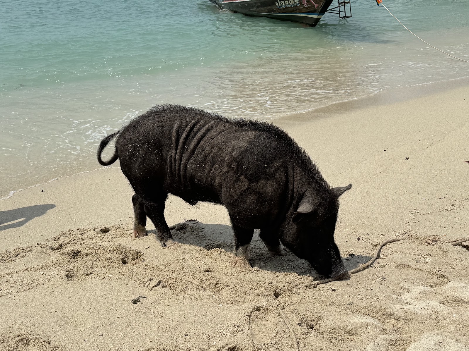 Samui Jetski Safari