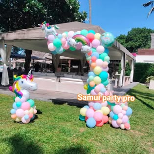 Samui Party Pro - Gallery image 8