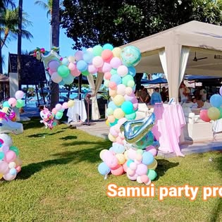 Samui Party Pro - Gallery image 9