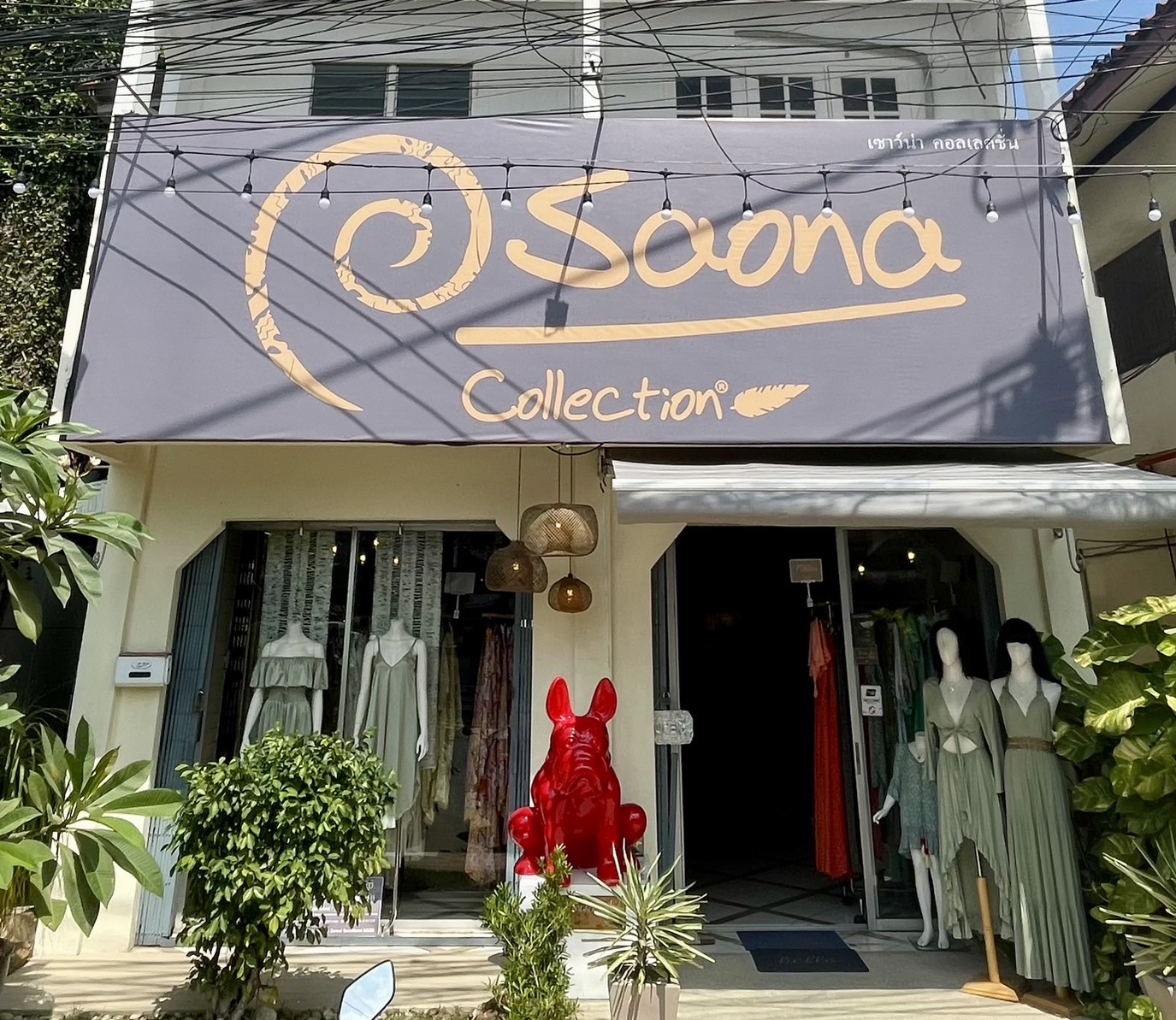 Saona Collection